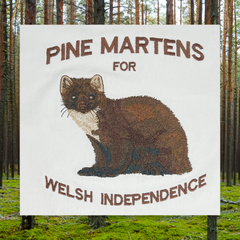 PINE MARTEN T-SHIRT