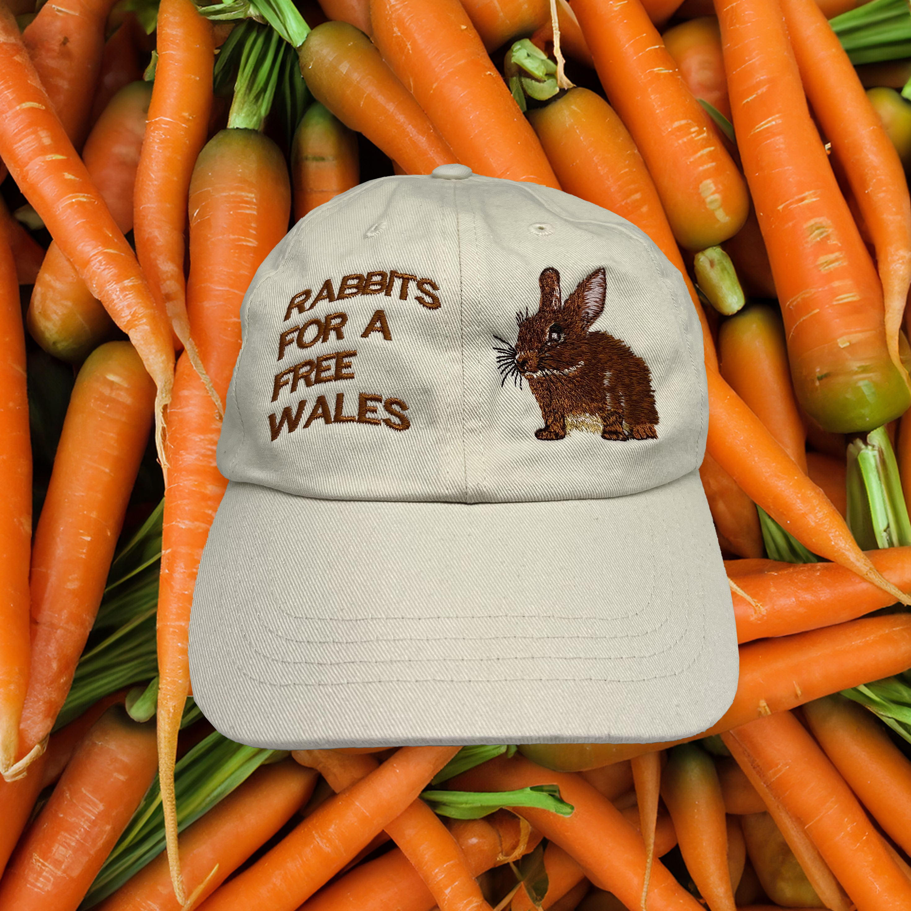RABBIT CAP – Tropical Wales