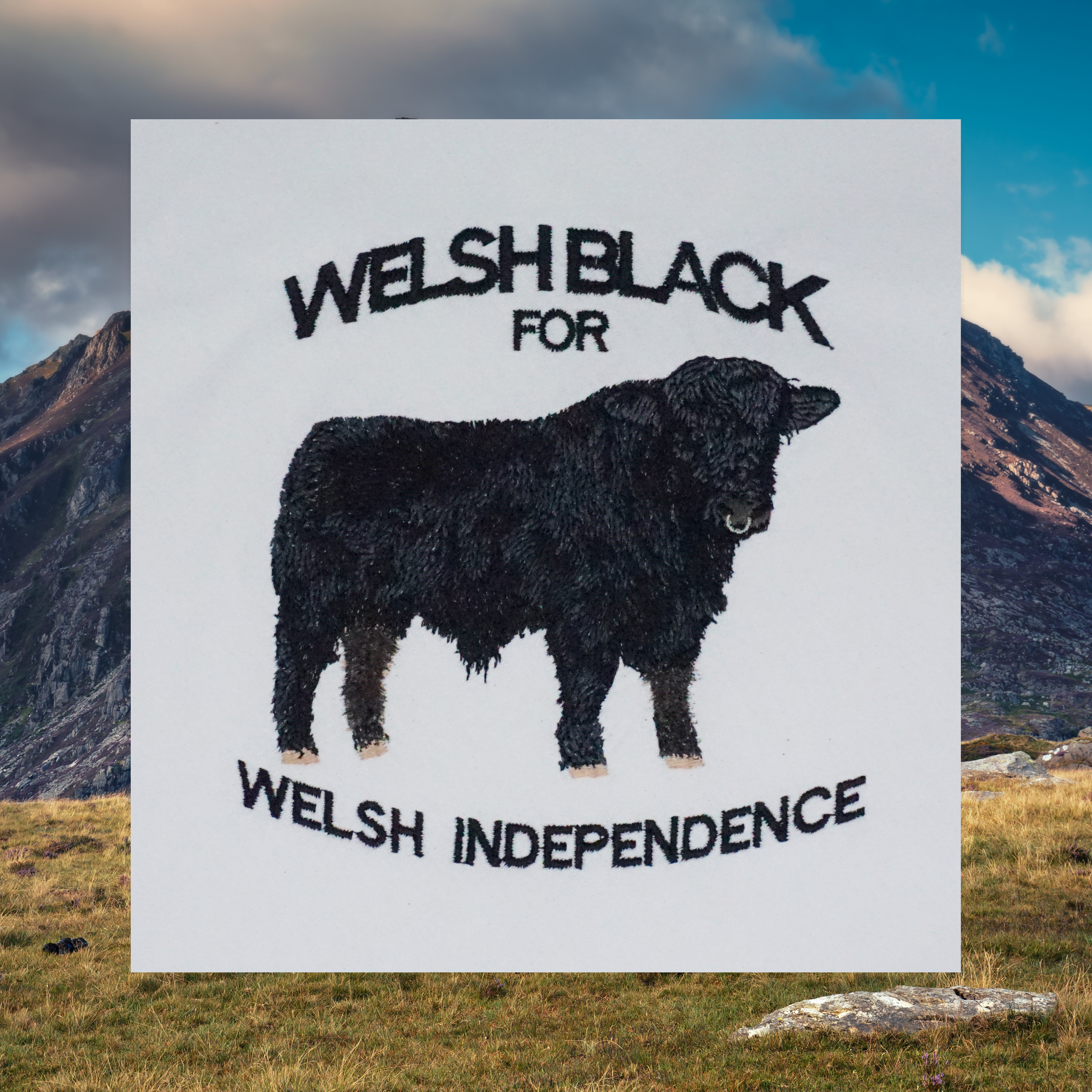 WELSH BLACK T-SHIRT