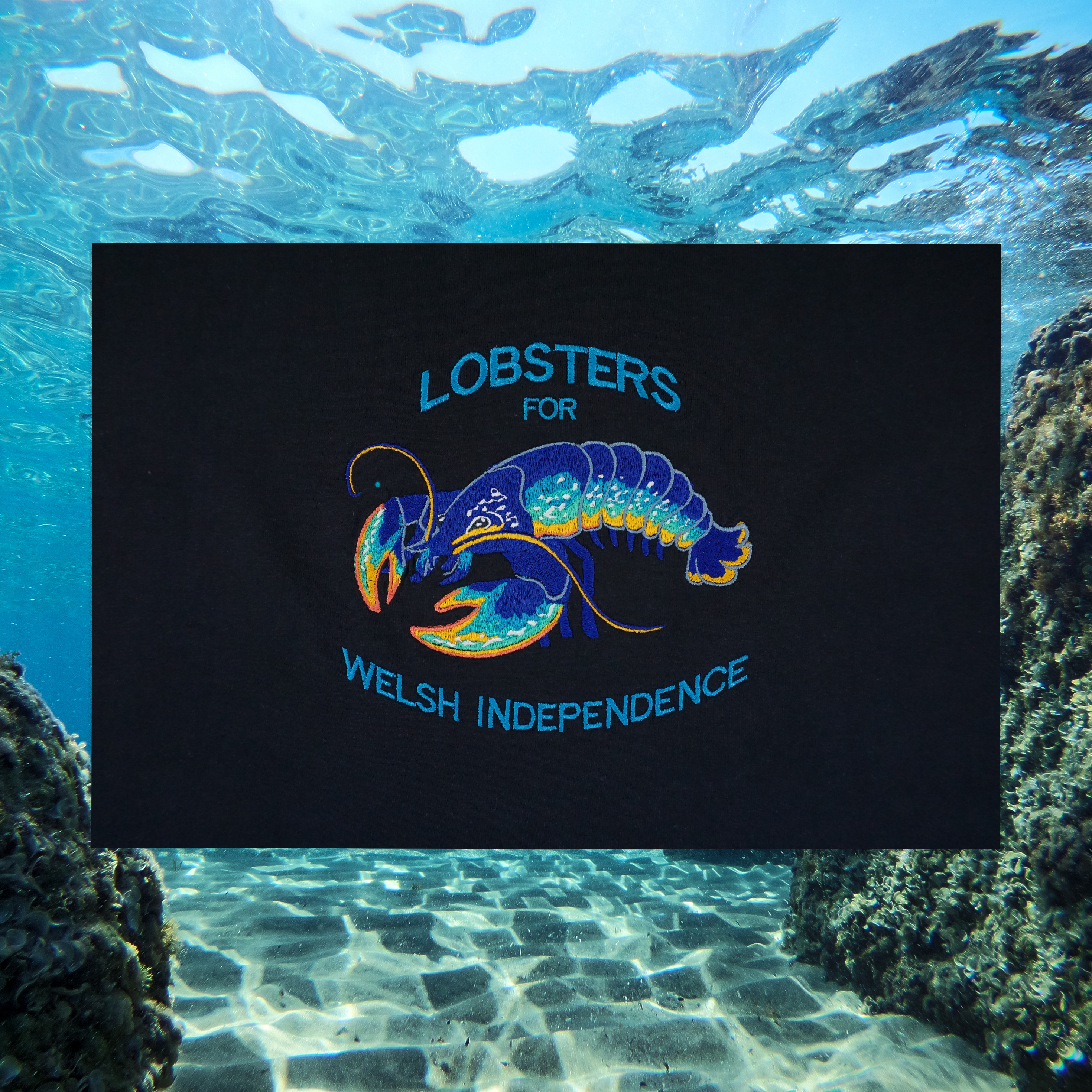 LOBSTERS FOR WELSH INDEPENDENCE T-SHIRT