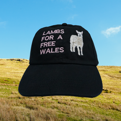 LAMBS FOR A FREE WALES CAP