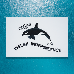 ORCAS FOR WELSH INDEPENDENCE T-SHIRT