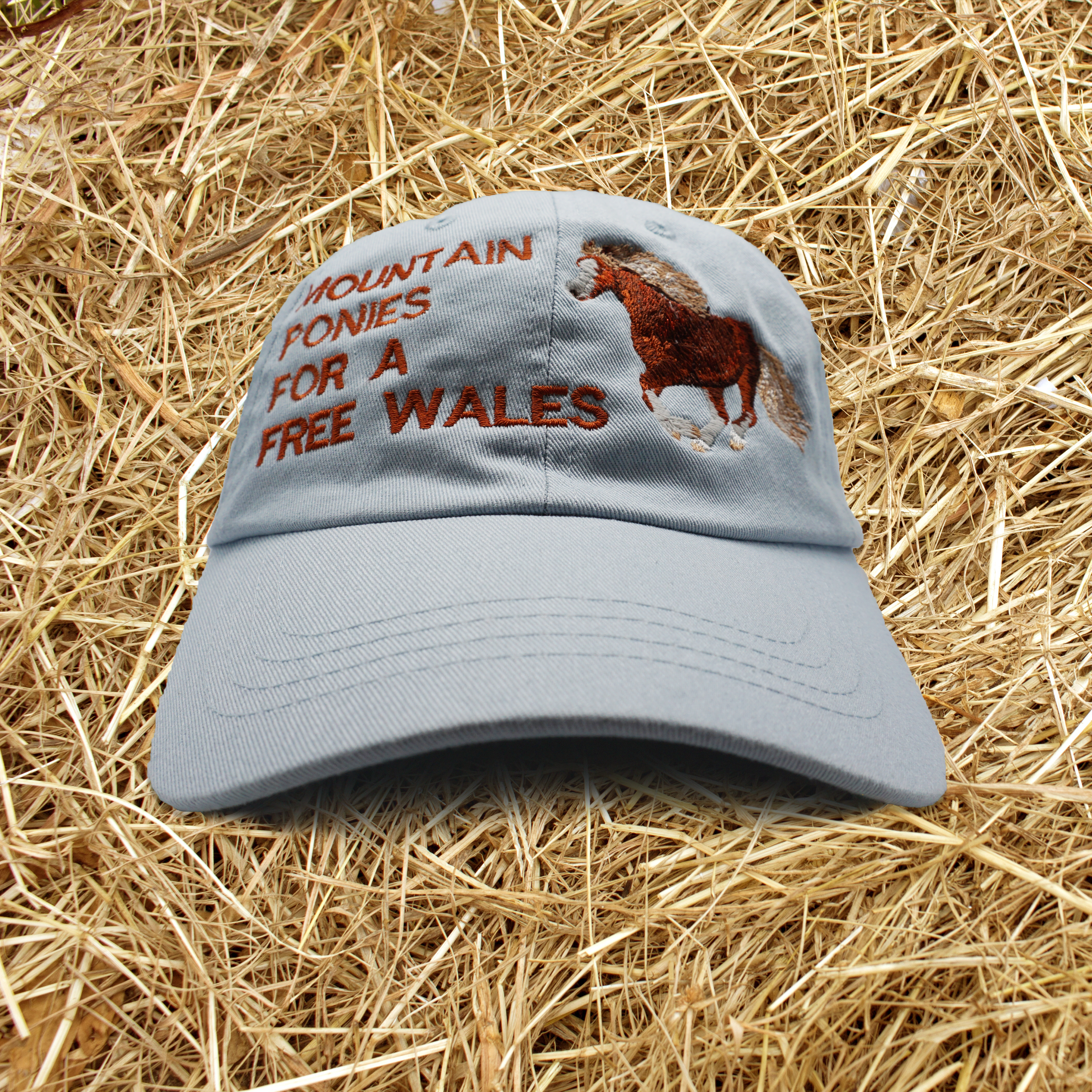 MOUNTAIN PONIES FOR A FREE WALES CAP