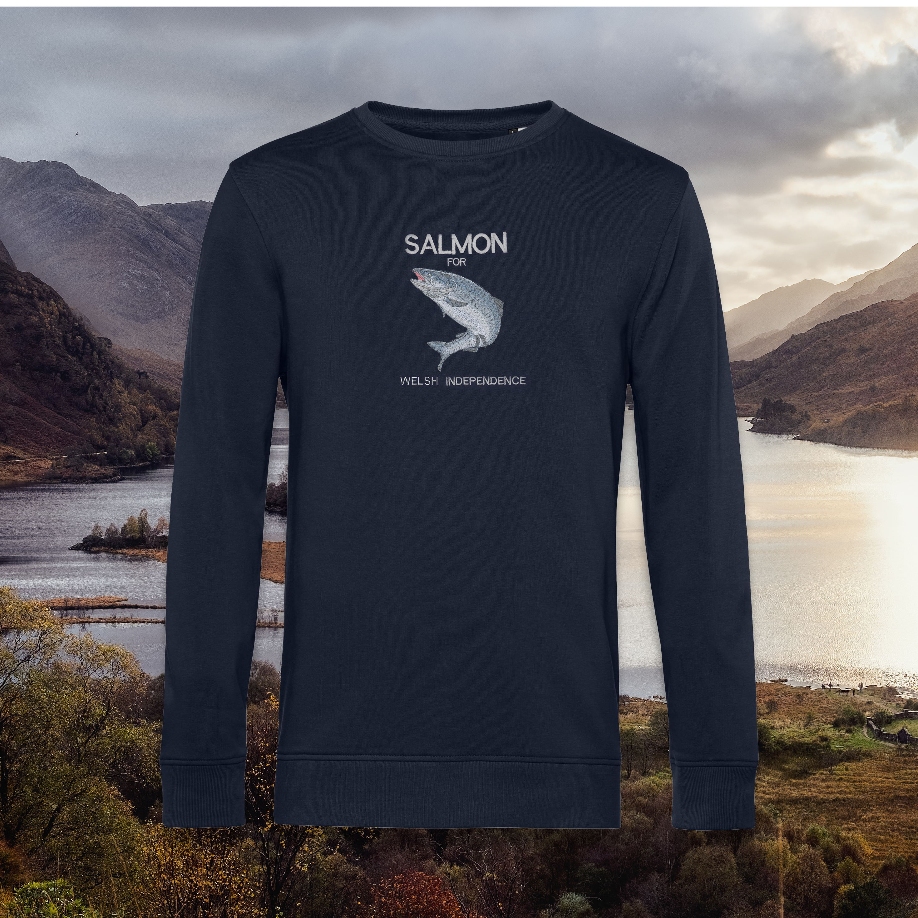 SALMON FOR WELSH INDEPENDENCE ORGANIC JUMPER