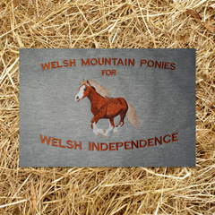 MOUNTAIN PONIES FOR WELSH INDEPENDENCE T-SHIRT