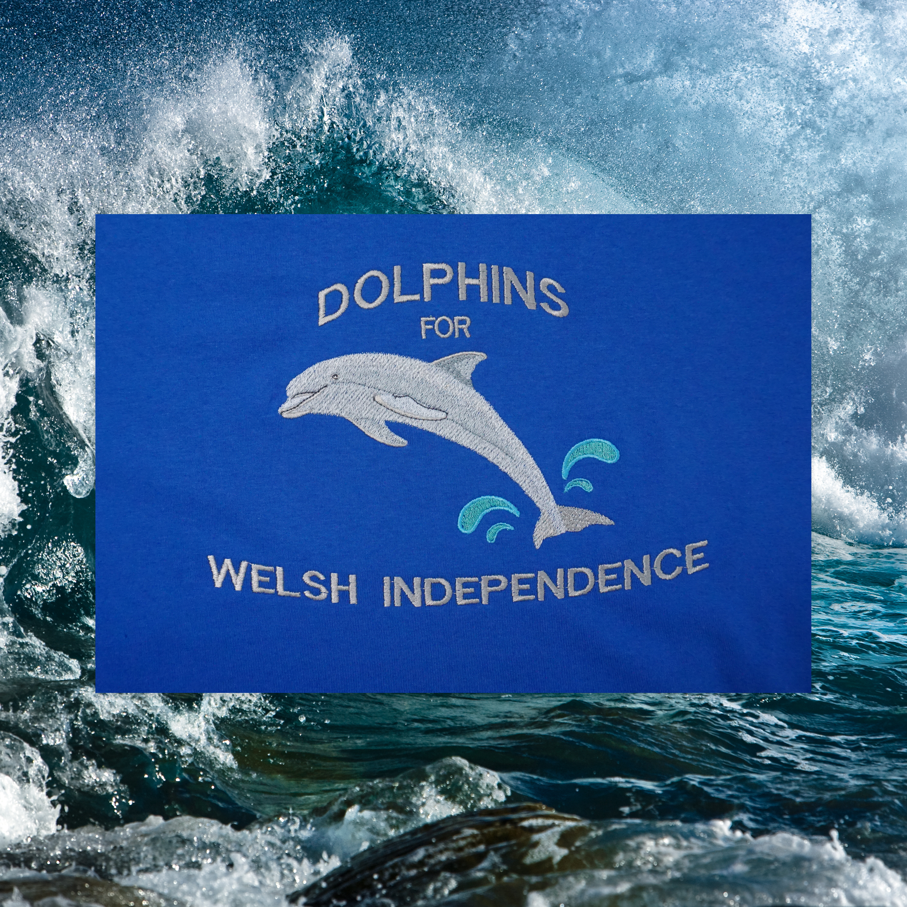 DOLPHINS FOR WELSH INDEPENDENCE T-SHIRT