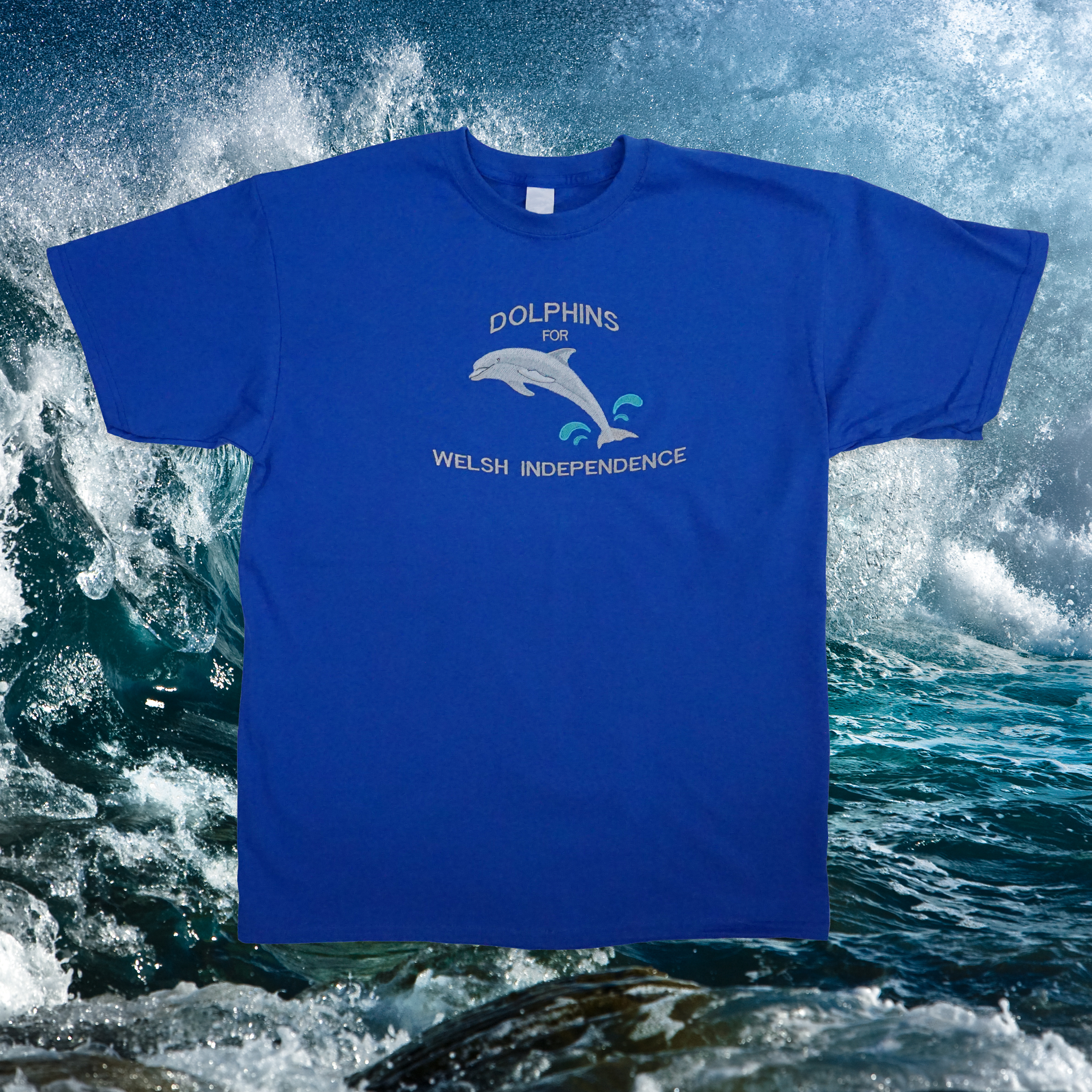 DOLPHINS FOR WELSH INDEPENDENCE T-SHIRT