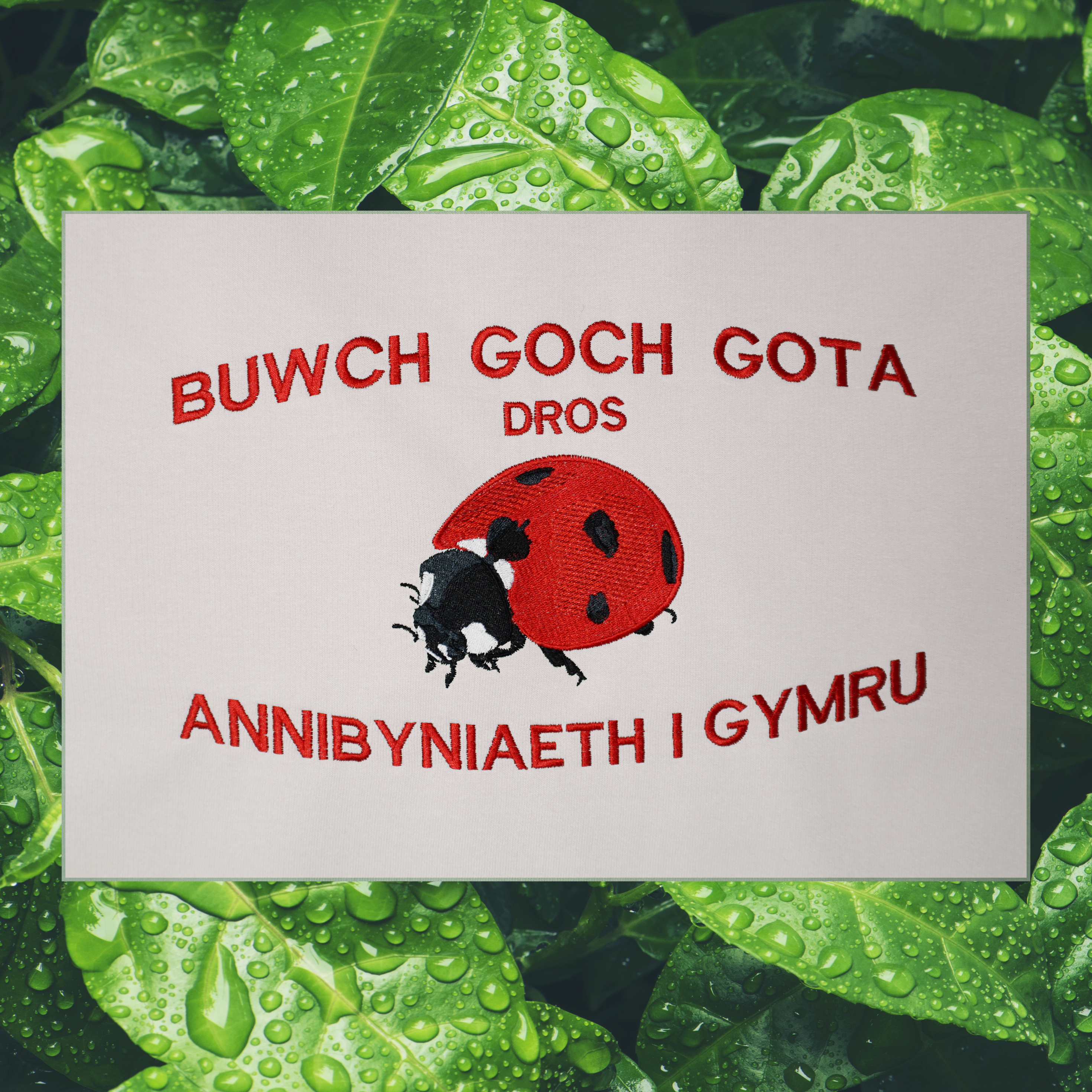 LADYBIRDS FOR WELSH INDEPENDENCE T-SHIRT
