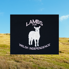 LAMBS FOR WELSH INDEPENDENCE T-SHIRT