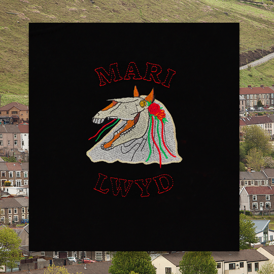 CRYS-T MARI LWYD