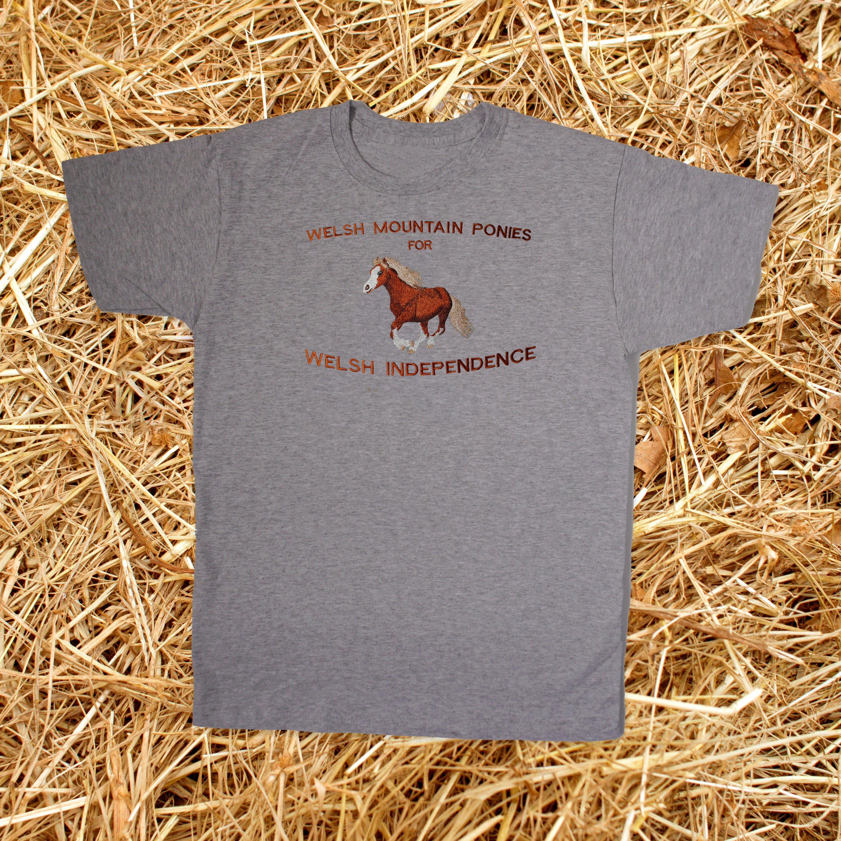 MOUNTAIN PONIES FOR WELSH INDEPENDENCE T-SHIRT