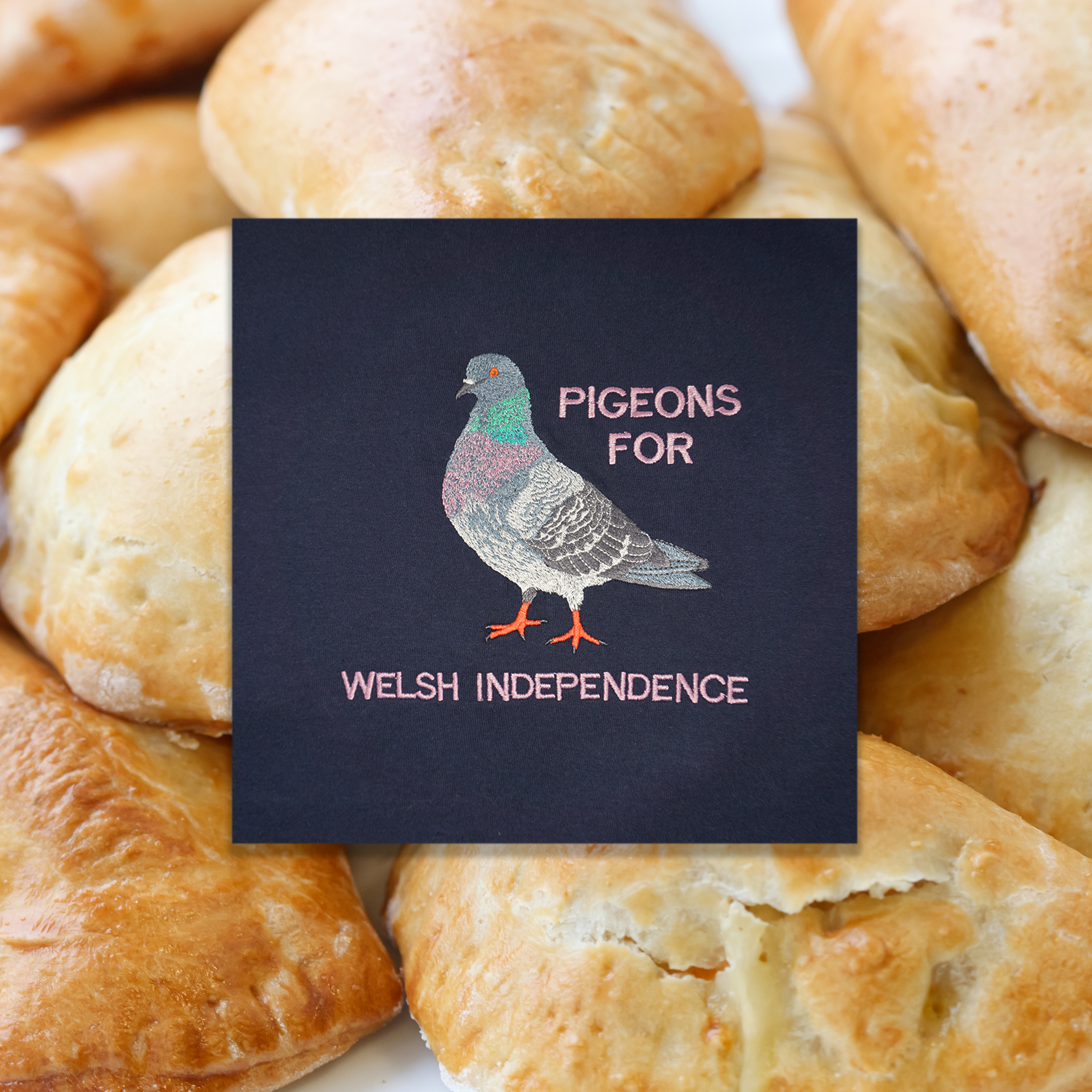 PIGEONS FOR WELSH INDEPENDENCE T-SHIRT