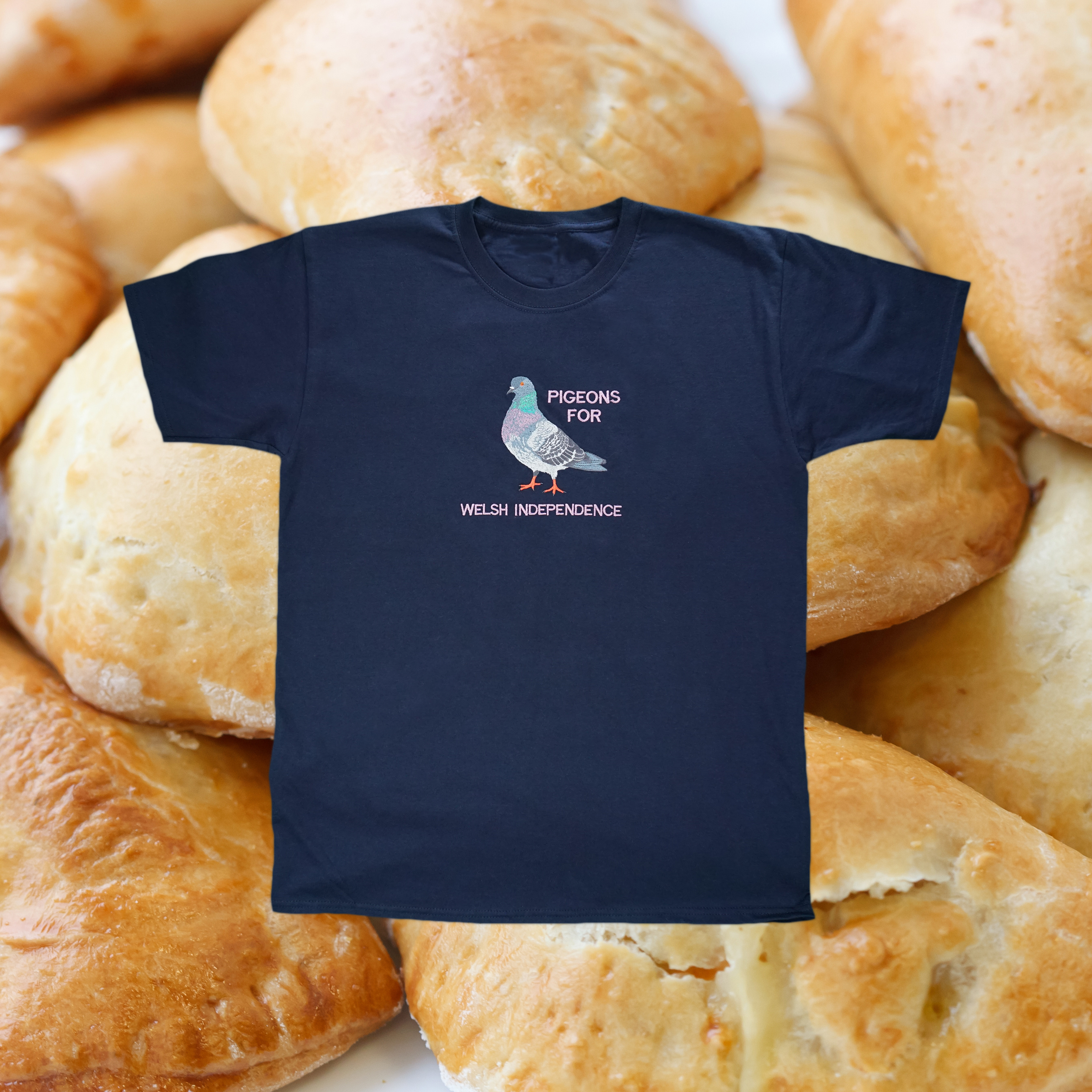 PIGEONS FOR WELSH INDEPENDENCE T-SHIRT
