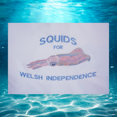 SQUIDS FOR WELSH INDEPENDENCE ORGANIC JUMPER